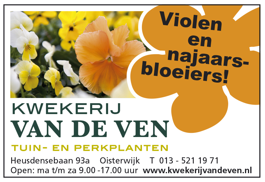 Violen en Herfstbloeiers