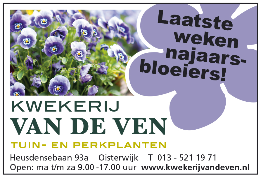 Laatste weken Violen en Herfstbloeiers!