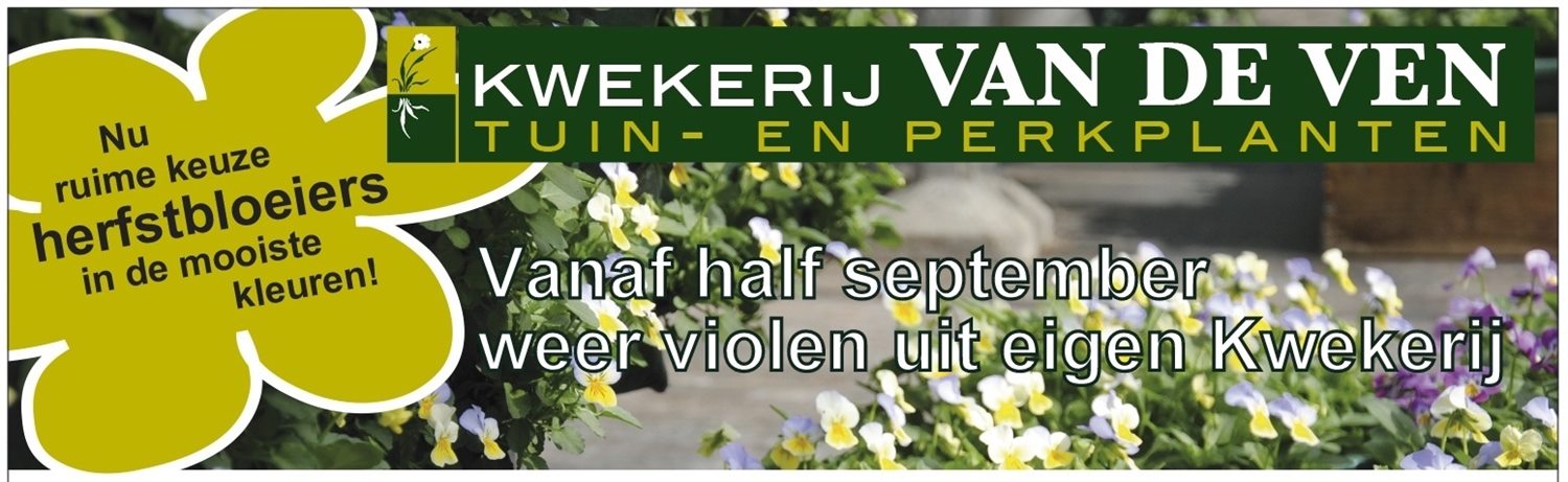 herfstbloeiers winkel open september