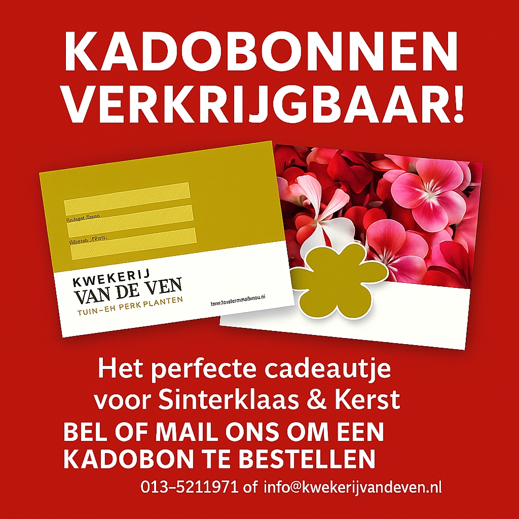 kadobon sint en kerst tijdens wintersluiting