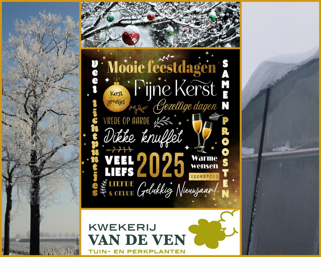 kerstcollage 2025