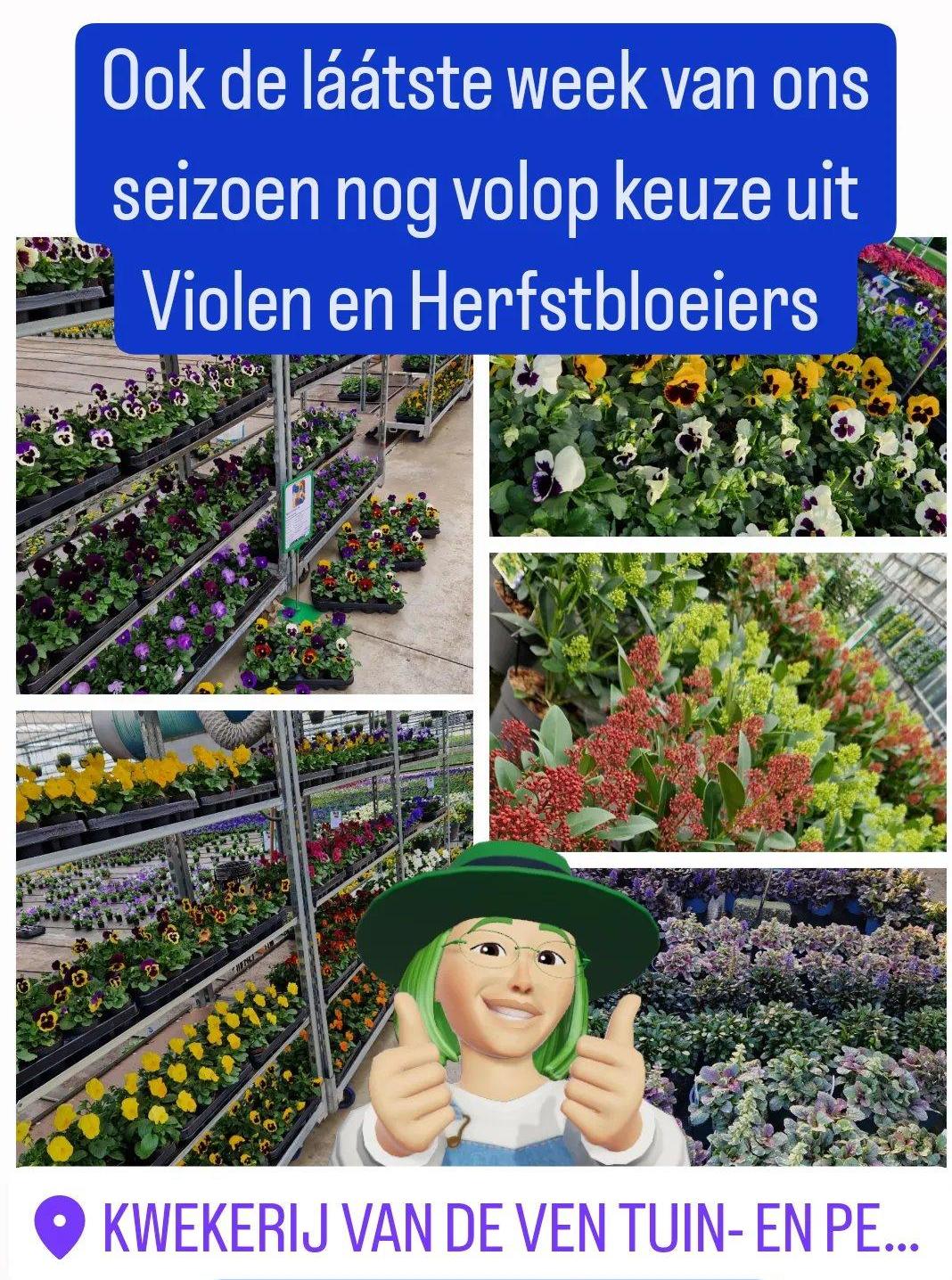 allerzielen en allerheiligen