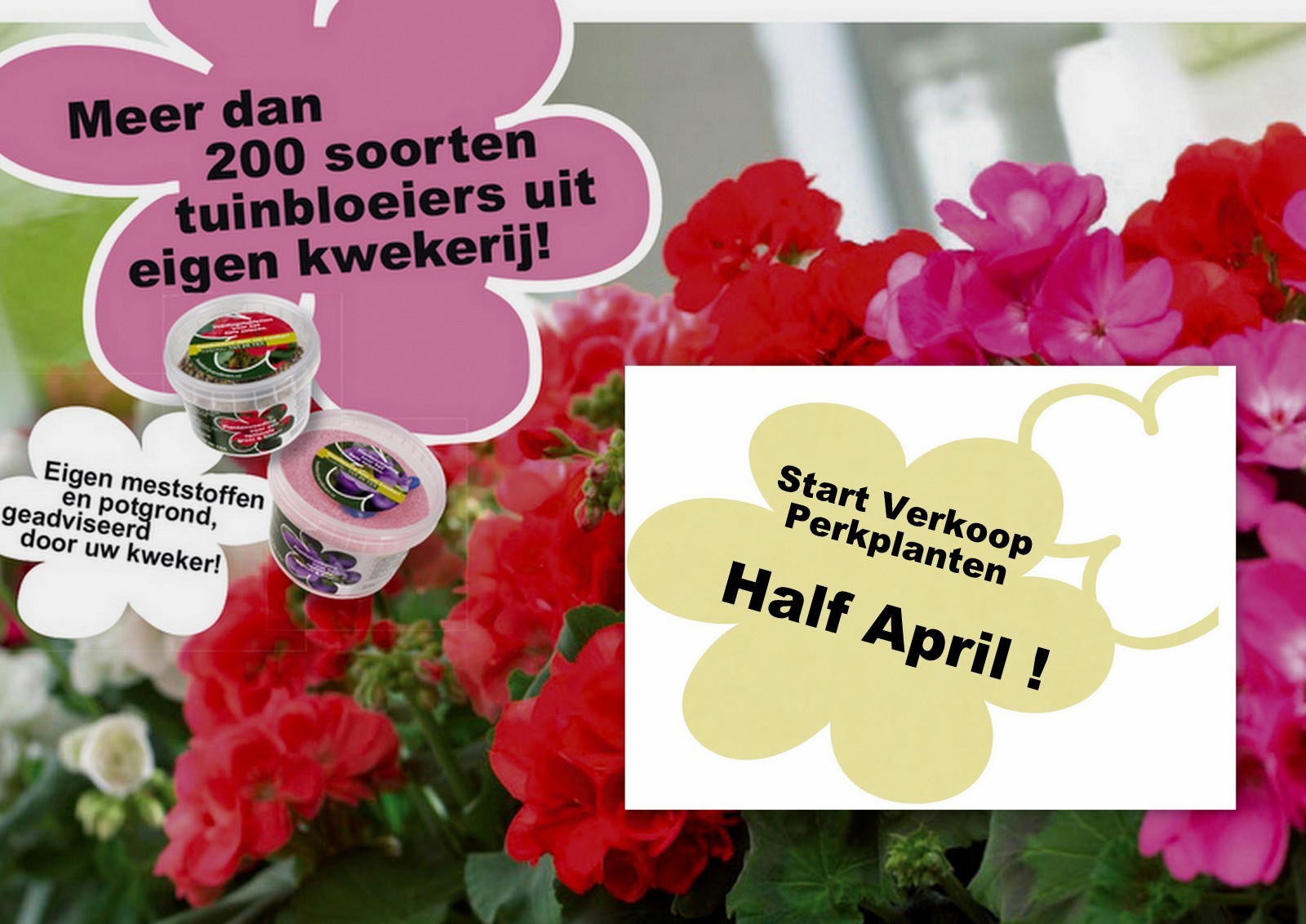 Half April start verkoop Perkplanten