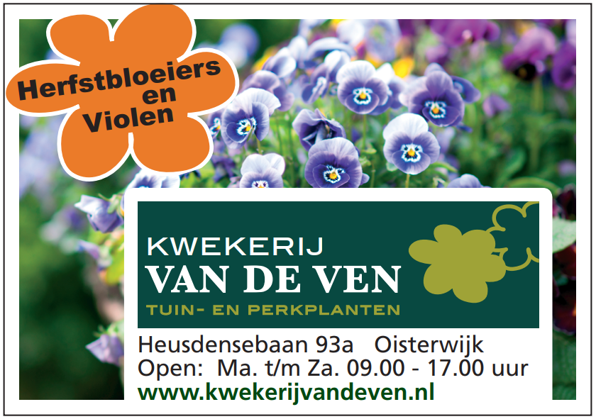 Advertenties Najaar herfstbloeiers september