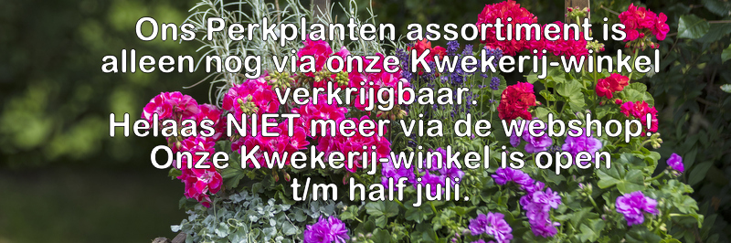 webshop perkplanten niet meer verkrijgbaar smal 02