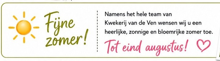 zomersluiting nieuwsbrief 2026 staand banner team