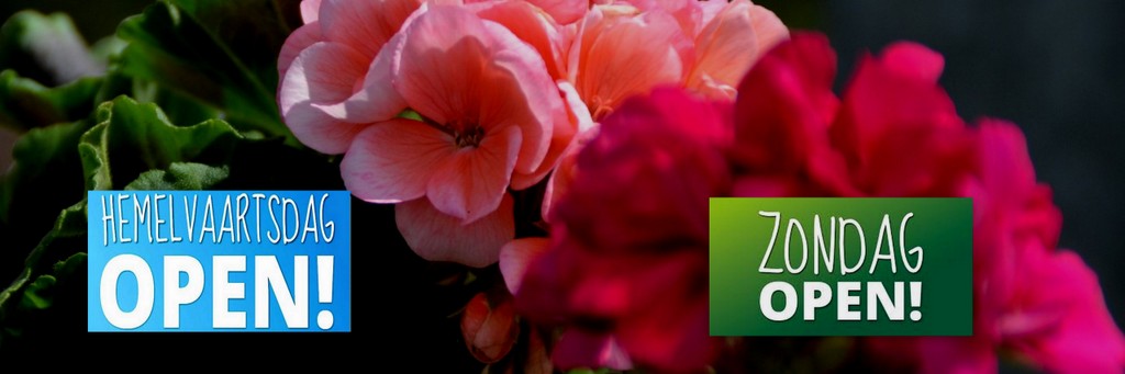 zondag en hemelvaart op website